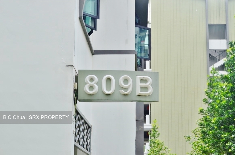 Blk 809B Choa Chu Kang Avenue 1 (Choa Chu Kang), HDB 2 Rooms #268499941